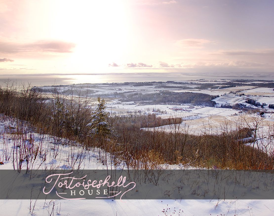 Blomidon in Winter