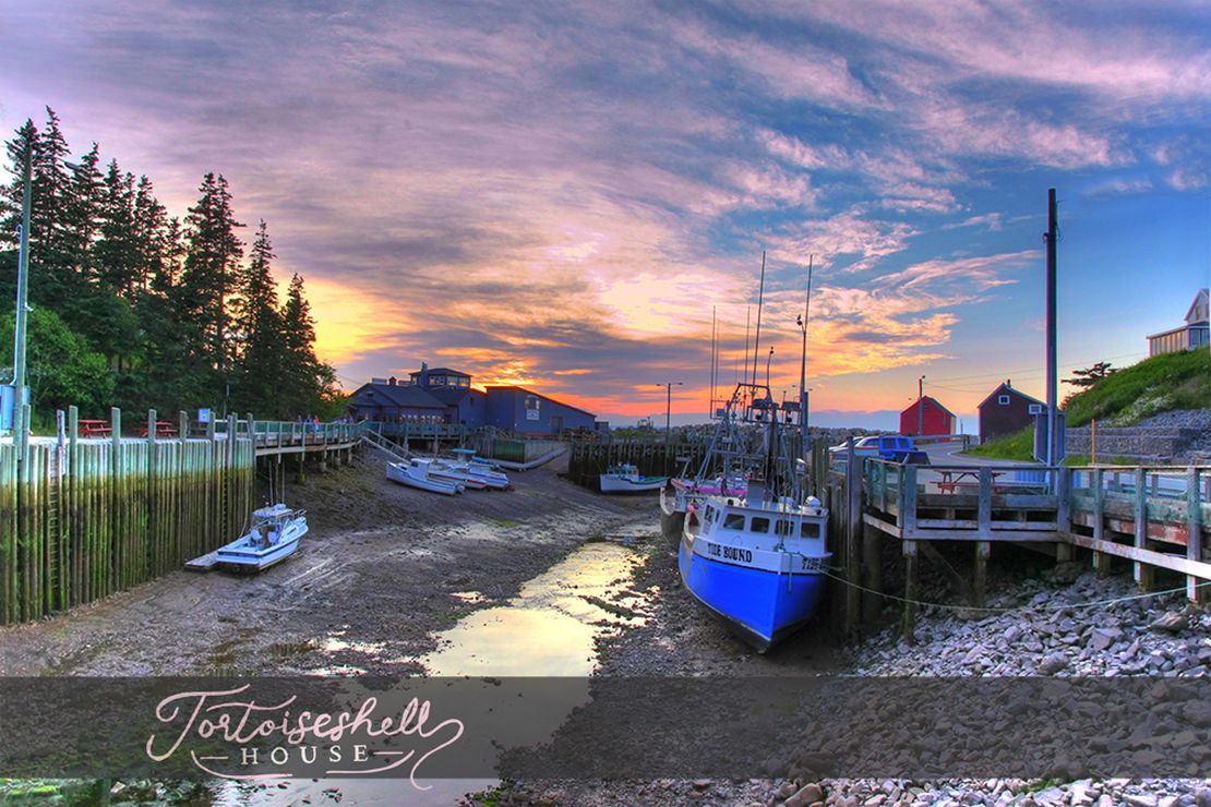 Halls Harbour Boats